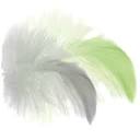 Comercial Veterinaria A. Carrillo, S.L.