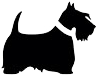 Daizy Dooz, LLC logo