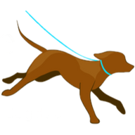 Doggie Joggie Inc. logo