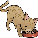 Dr. Elsey's Precious Cat logo