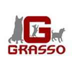 Eric Grasso, Llc