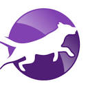 Flying Colors Canine Academy, Inc.