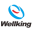 HENAN PROVINCE WELLKING TECHNOLOGIES DEVELOPMENT CO.,LTD logo