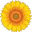 Hero's Pets logo