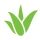 Joji Ventures, Inc.