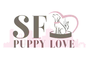 K9 Playtime, Inc. logo
