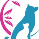 kitty city logo