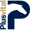 Lativsulp Limited logo