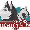 Leashes & Chains logo