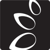 Little Wing Enterprises Inc
