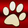 Maine Coon Katzenzucht Redaddicts