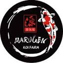 Marugen Koi & Arowana Farm - Japanese Koi Fish & Red/Gold Arowana For Sale In Singapore logo