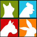 Mascotas Guadarrama