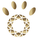 Mascoteka. Residencia canina.