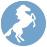 Meddleton Equine Inc logo