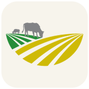 Midland Foods Ltd.