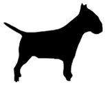 Nido Pet