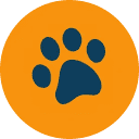 Nova Dog Chews