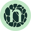 Novonesis logo