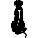 Paleo Ridge