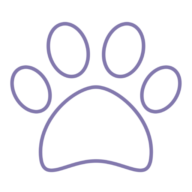 Pawparazzi Dogs Llc