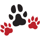 Pawsome Raw - Gauteng logo