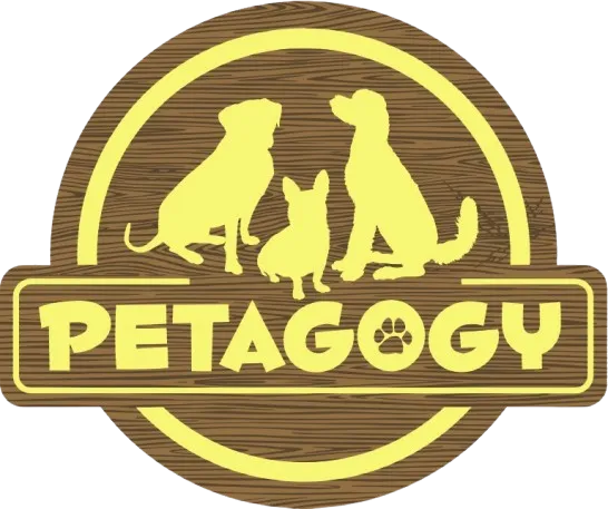 Petagogy, Llc