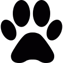 PetsOye - Pets Accessories, Food, Litter, Grooming