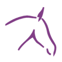QHP logo