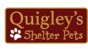 Quigley S Shelter Pets Inc logo