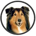 Rusty’s Discount Pet Center