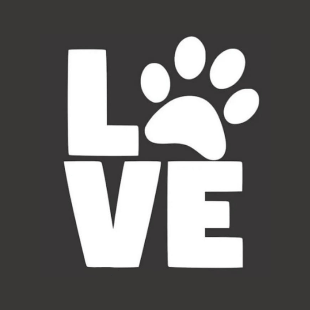 Salty Paws Veterinary Hospital