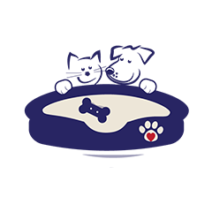 The Bed & Biscuit