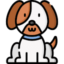 The Natural Doggy Chews Co. logo