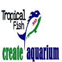 Tropicalfish - Veréb és Kató Kft logo