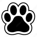 Univet Diagnostic