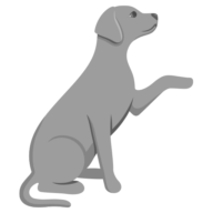 Veazie Veterinary Clinic PA