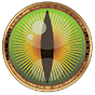 Vision Products logo