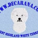 Westies Decarana. Solo West Higland White Terrier.