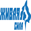 Zhivaya Sila LLC