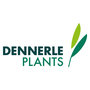 Dennerle Plants GmbH