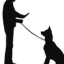 Canide - Pensiune Canina