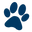 Happy Cat UAE logo