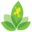 Josh's Frogs logo