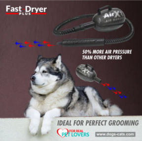Dogs & Cats Technology by Hair-Tech s.r.l.