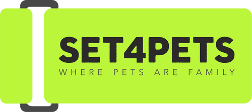 Set4Pets – All-in-One Pet Travel System