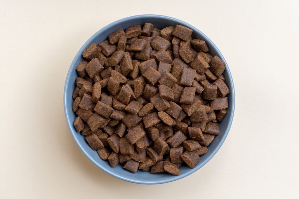Nestlé Purina Invests CHF 520M in New Super-Premium Wet Pet Food Factory in Italy