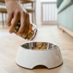 Fresh Pet Food