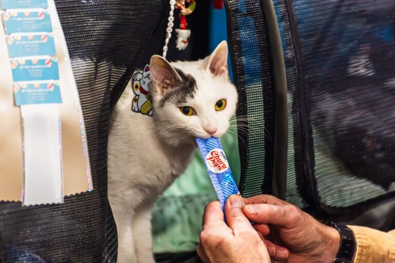Pet Trade Show