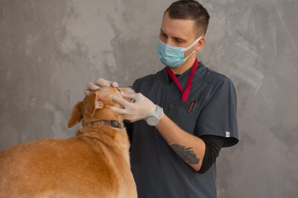 CATalyst Council Report: US Veterinary Visits Face 1–2% Annual Decline Through 2035